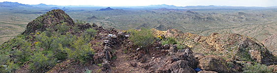 Organ Pipe Cactus National Monument