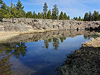 Sycamore Rim Trail