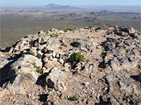 The summit