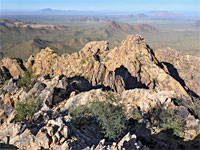 The view west