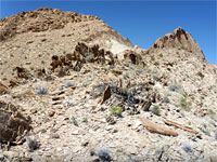 Stony ridge