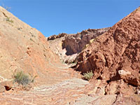 Rocky streambed