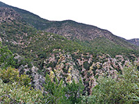 Cliffs along the Hamburg Trail