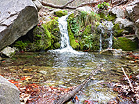 Waterfall and pool in Ramsey Canyon