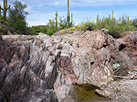 Red Tanks Tinaja and Senita Basin