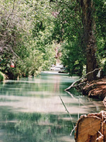 Reflections on Havasu Creek