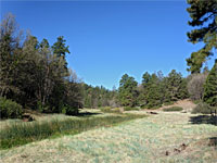 Grassy valley