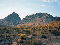 Cholla near Boundary Cone