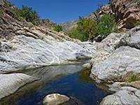 Veined slickrock