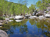 Wide, shallow pool