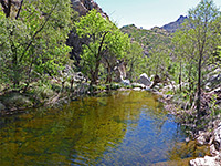 Sabino Creek