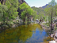 Ripples on the water