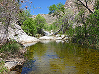 Wide part of the creek