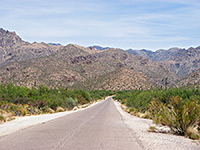 Road to Sabino Canyon