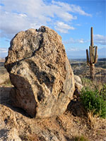 Boulder and saguaro