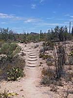 Signal Hill Trail