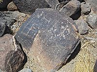 photograph