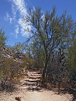 Stone steps