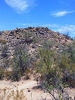 The hill