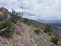 Joe's Canyon Trail