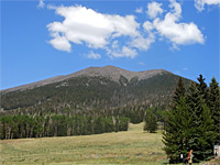 Mountains and meadow