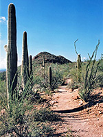 The Valley View Overlook Trail