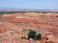 West Approach to South Coyote Buttes
