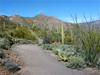 Spur Cross Trail