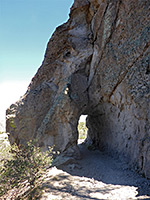photograph