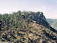 Forested ridge