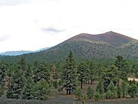 East side of Sunset Crater