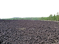 Lava field beneath Sunset Crater