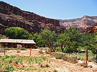 Supai