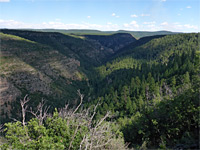 Sycamore Canyon Overlook Trail