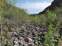 Dry streambed