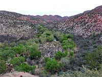 View from the trailhead