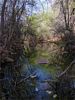 Rocks in the creek