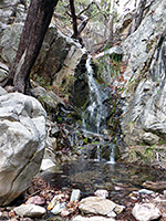 Bog, Kent and Sylvester Springs Loop