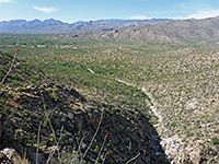 Distant mountains