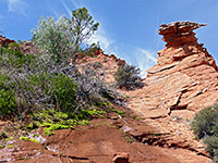 South Coyote Buttes (West)