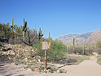 Trail junction