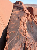 Bear and water clan petroglyphs