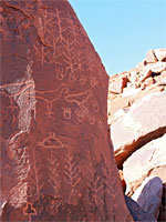Corn clan petroglyphs