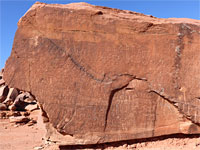 Numerous petroglyphs