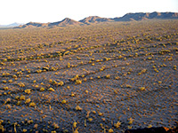 Vekol Valley and Table Top Mnts