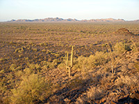 Edge of Lost Horse Peak