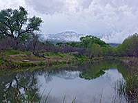 Dead Horse Ranch State Park