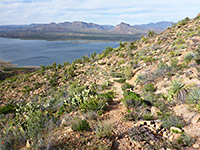 Trail above the lake