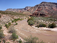 Canyon of the Virgin River