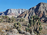 Virgin River Canyon Recreation Area